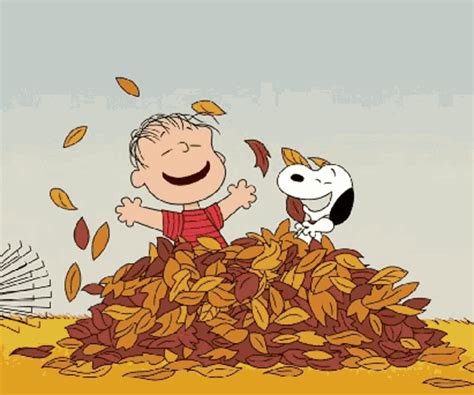 cute fall gifs|fall protection gif.